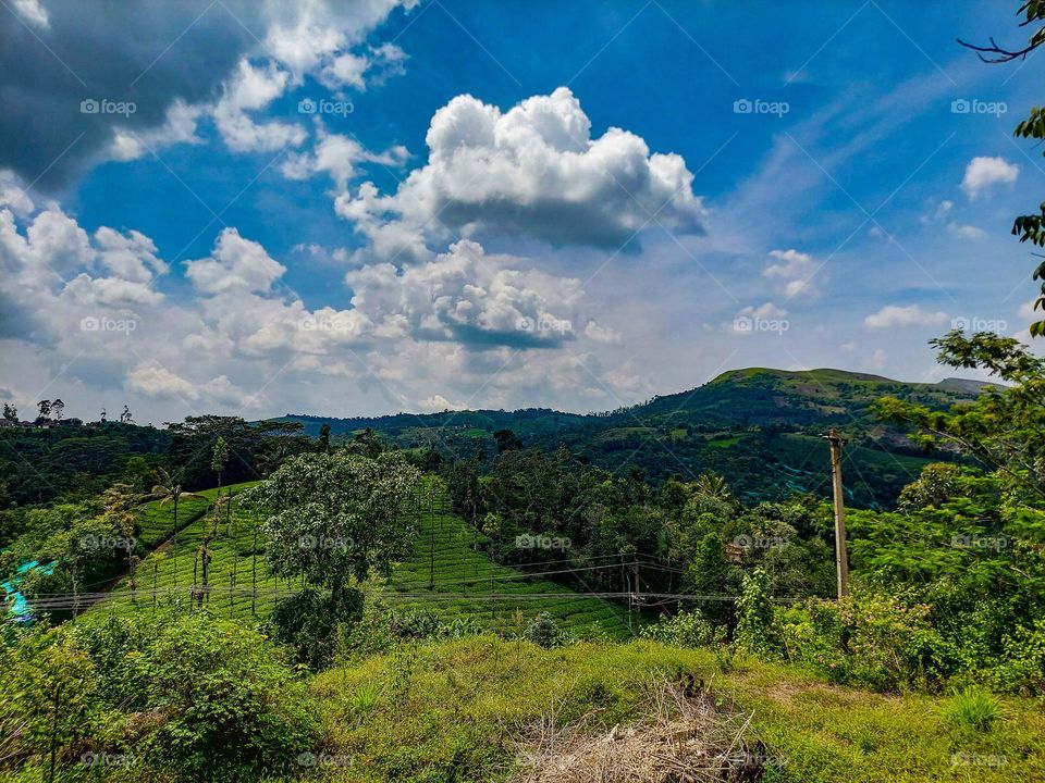 iduki hills kissing cloud