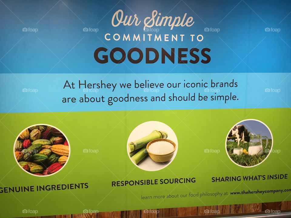 Illustration, Vector, Card, Template, Business