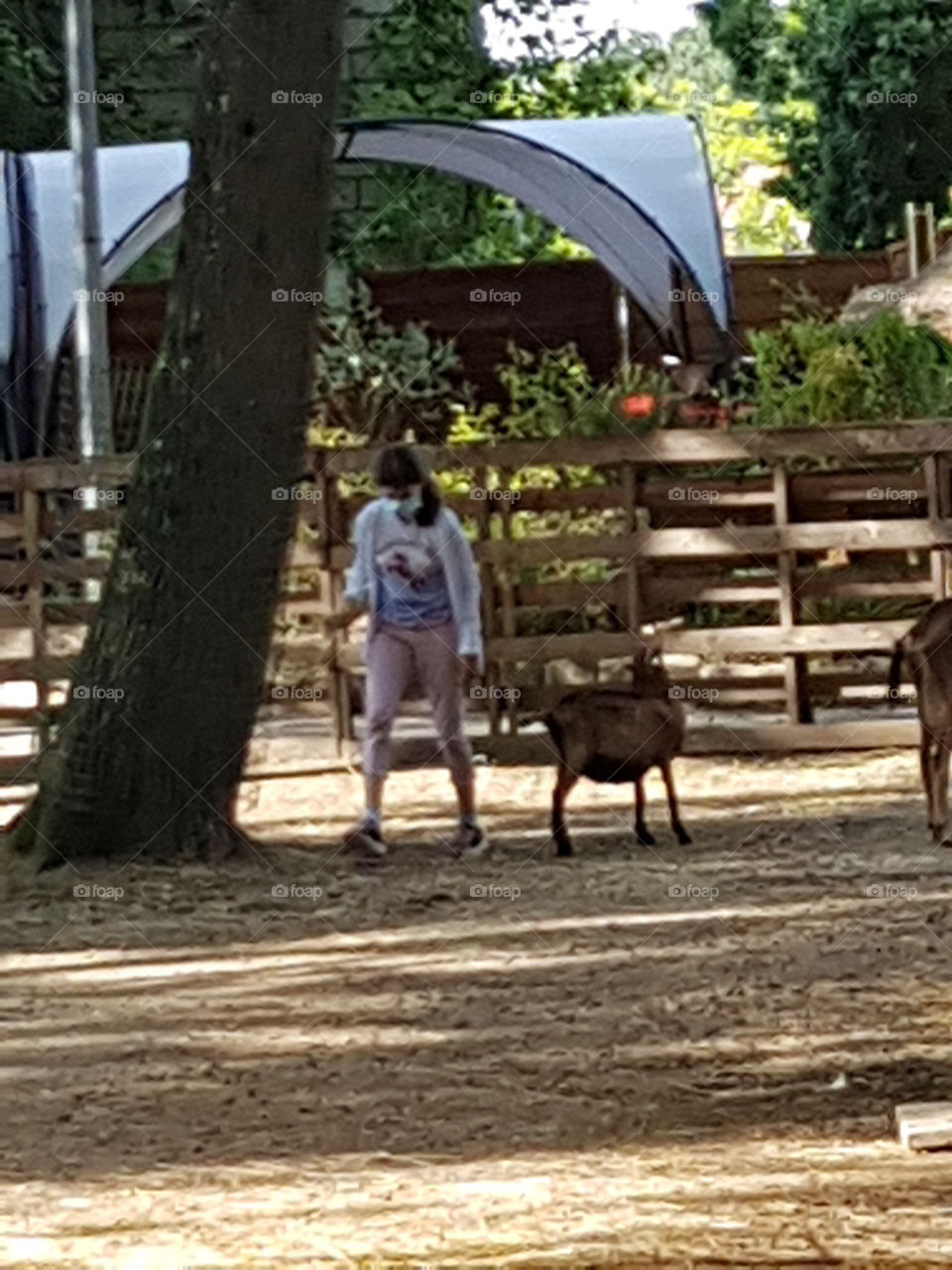 a young girl meets a goat at the educational farm
