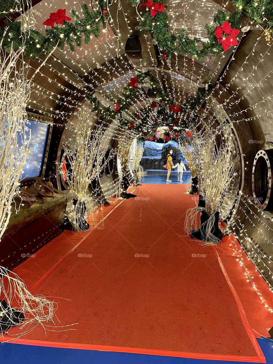 Indoor lighting cave just like a pathways in a red carpet at reptiles house, beautiful decorations