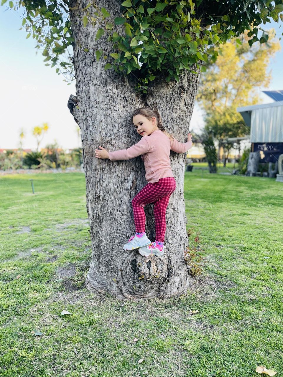 "Trees are poems that the earth writes upon the sky." 

- Kahlil Gibran