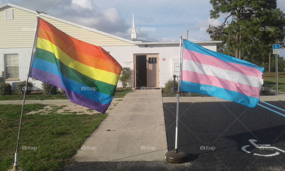 Rainbow and Transgender Flags