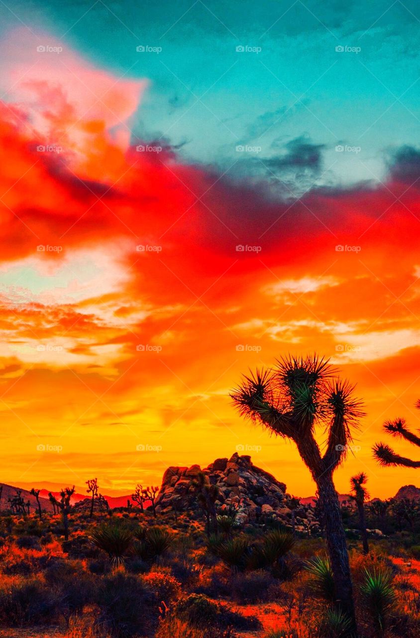 I love seeing this photo