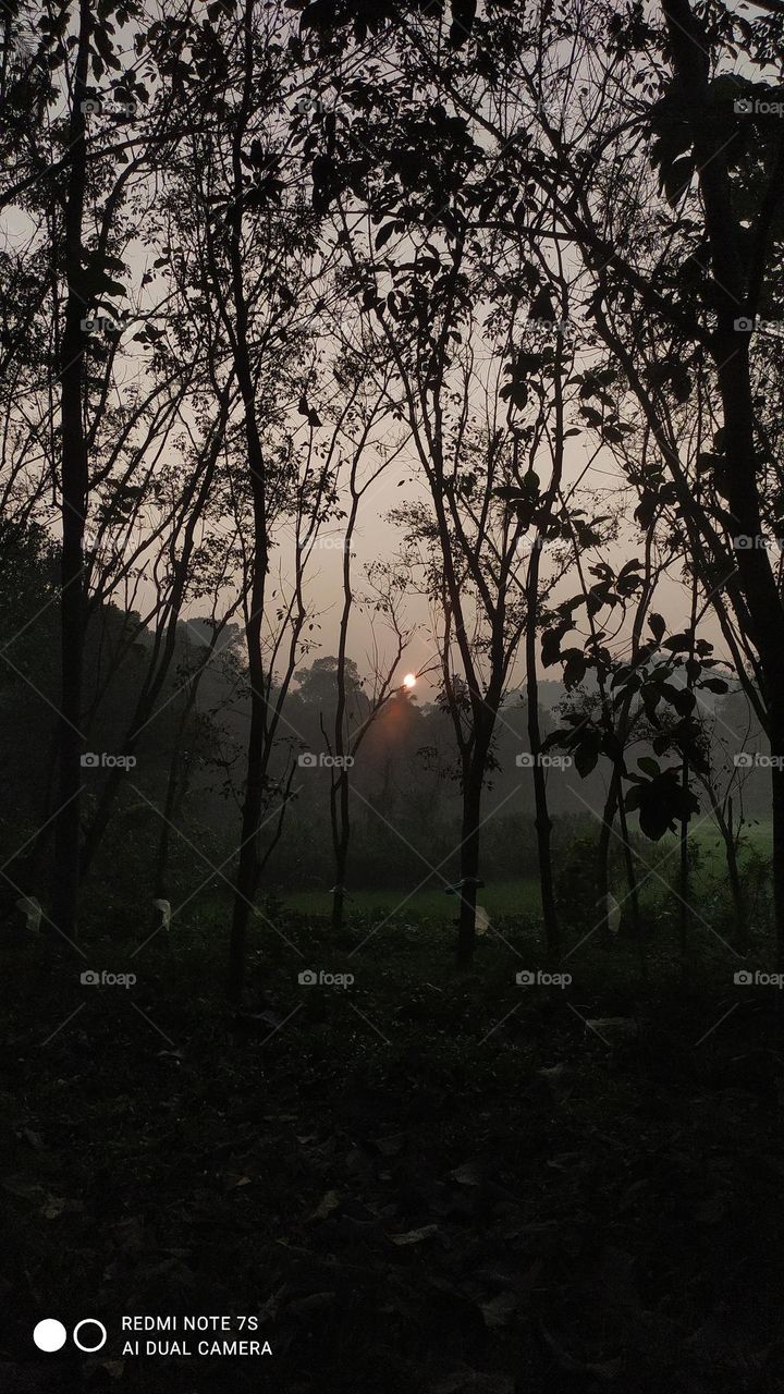 Look deep into nature, and then you will understand everything better.” – Albert Einstein