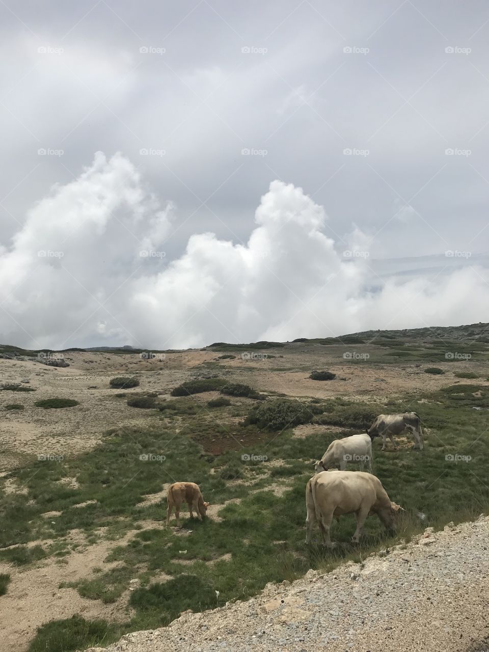 Serra da Estrela, Portugal 🇵🇹