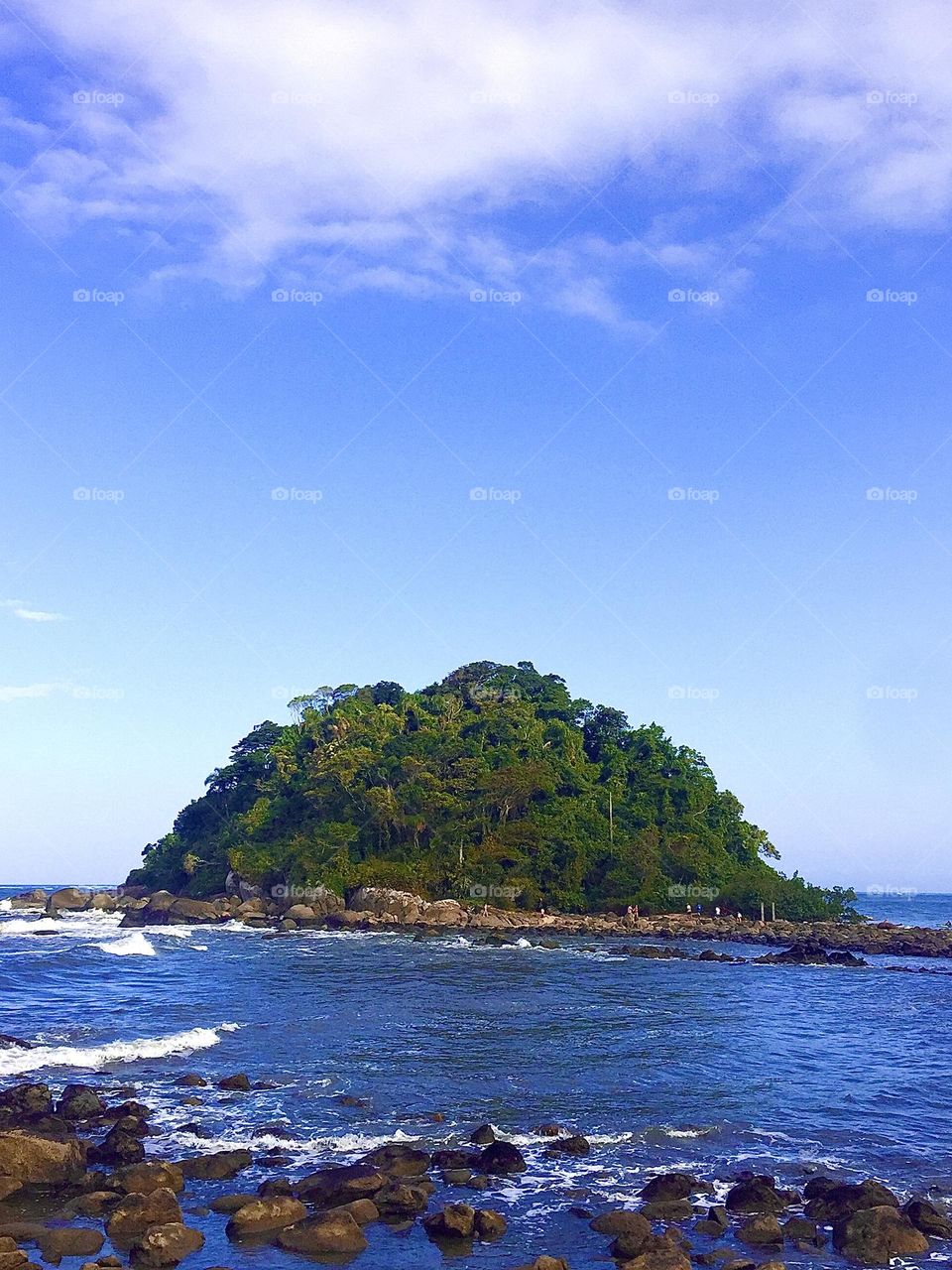 Turtle Island