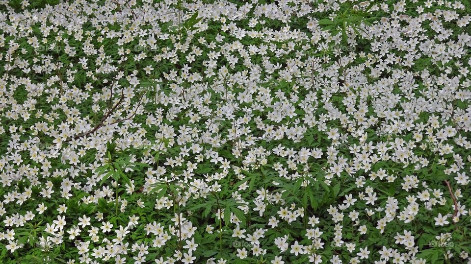 Hulta, Ronneby, Sweden