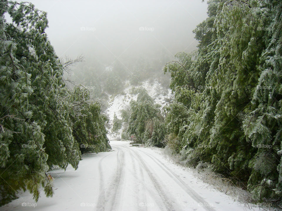 The Snowy Road