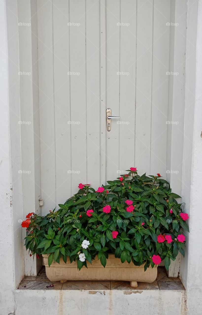 Old house front white door not used, with pink and white flowers on a vase