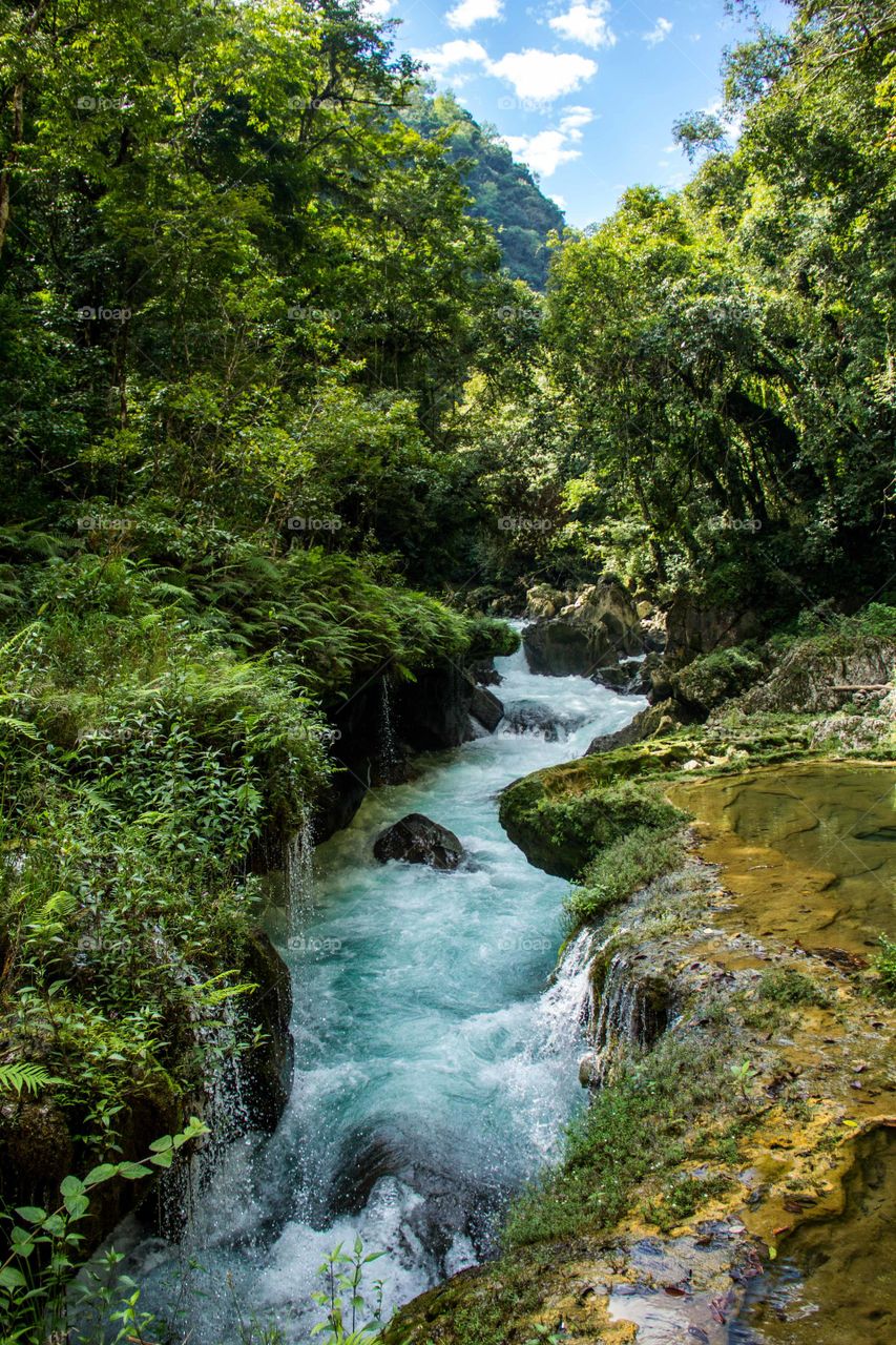 Picture of a beautiful flowing river in Semuc Champey, Guatemala.