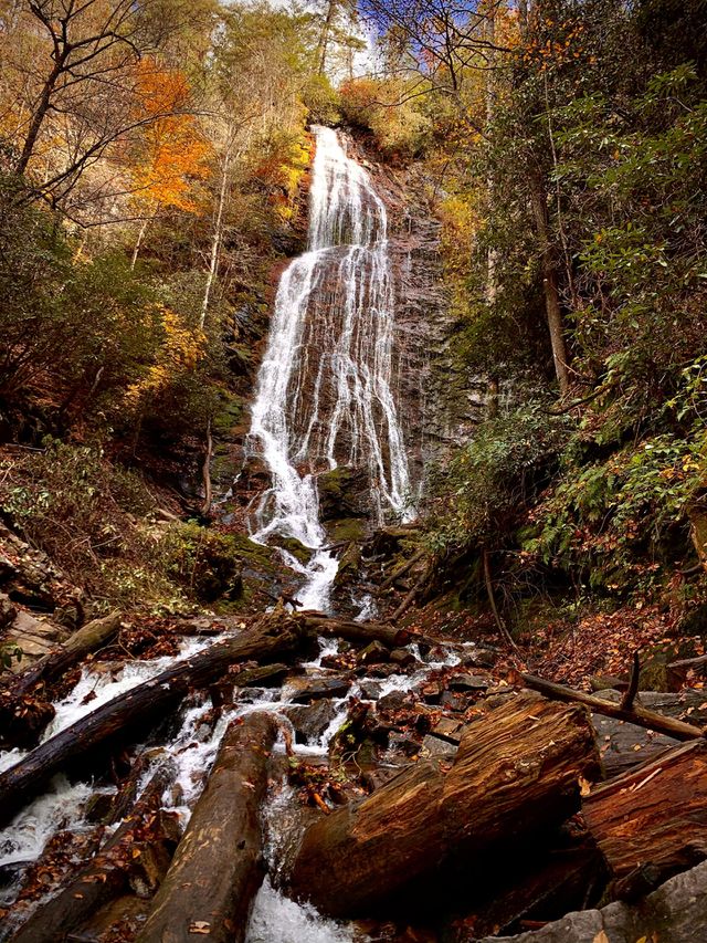 Smoky Mountain National Park 