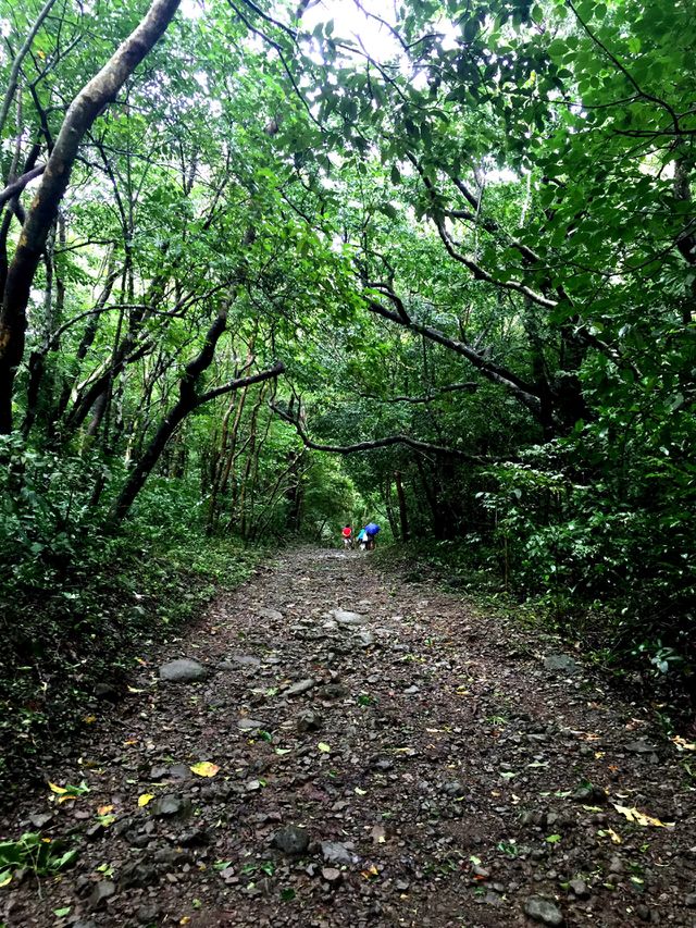 Nature