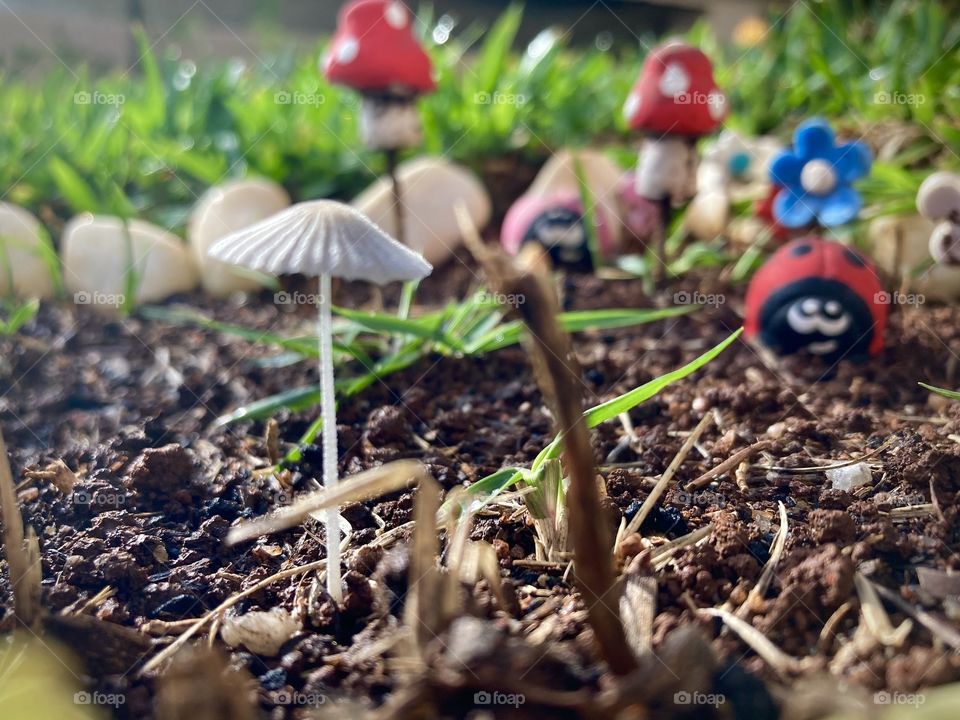 🇺🇸 A well-decorated garden with the mushroom attracting attention.  It turned out beautiful! / 🇧🇷 Um jardim bem decorado com o cogumelo chamando a atenção. Ficou bonito!