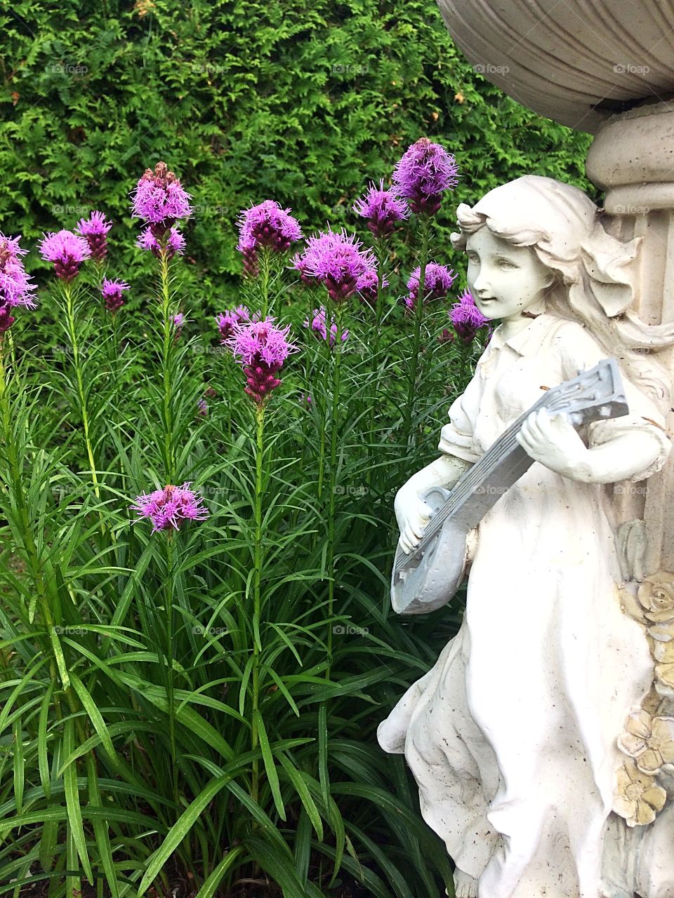 Purple Liatris and Angel Statue