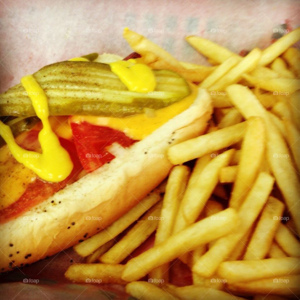 Chicago dog