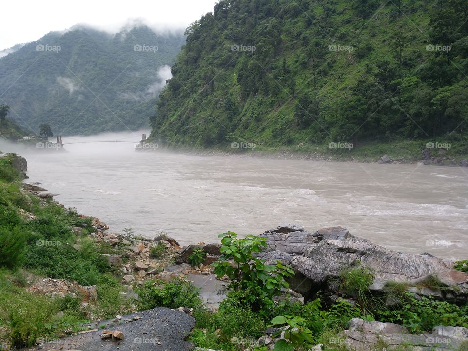 bridge on the river