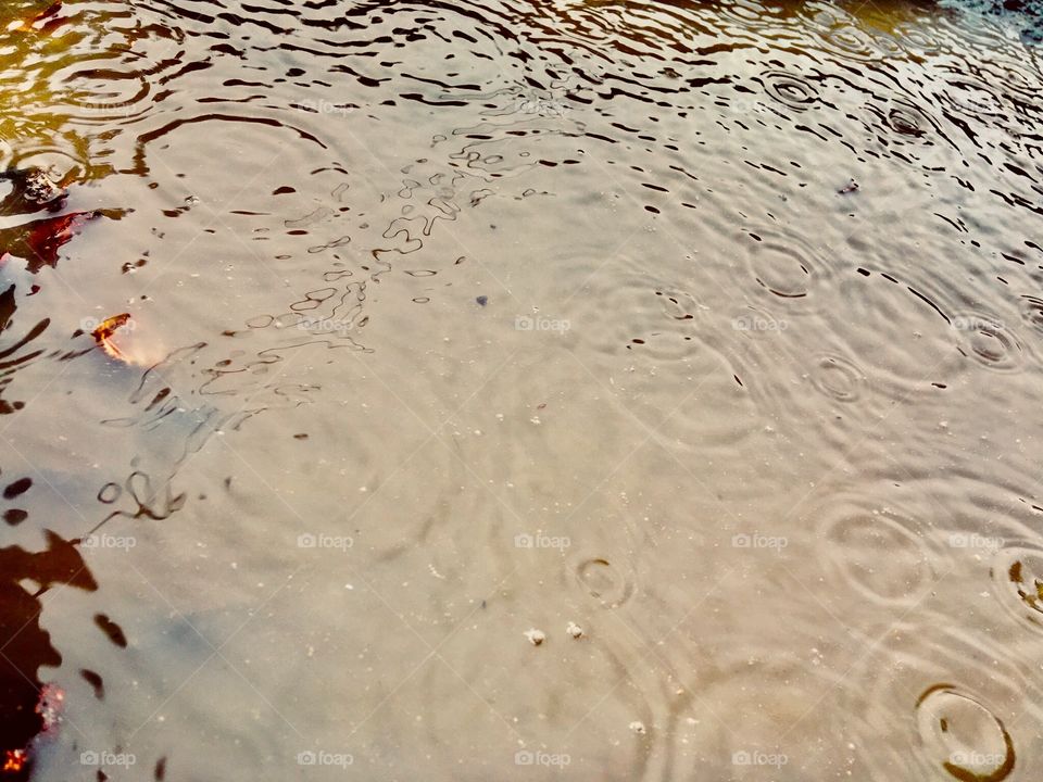 Puddle of water, details of raindrops and a consistent tone of dirty, natural brown 