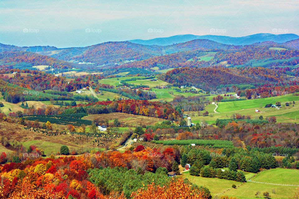 Valley Below