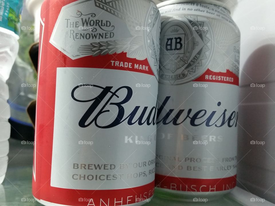 No Person, Business, Finance, Money, Paper