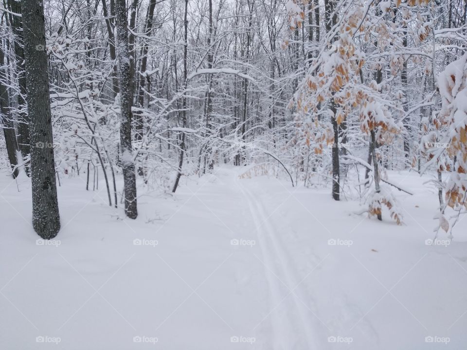 Ski trails