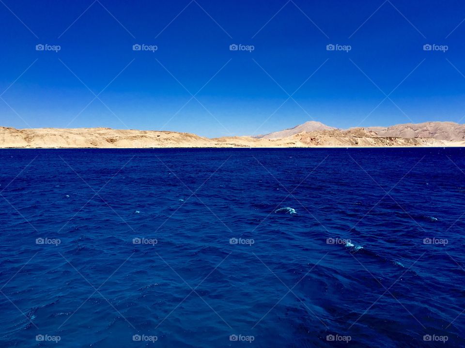 Coast Of the Red Sea Egypt 
