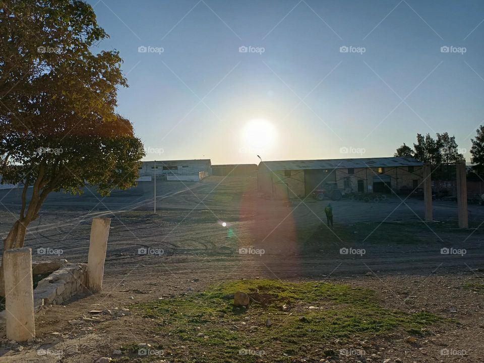 The sun's heat blankets the landscape, casting a warm glow that touches everything it embraces, creating a comforting and invigorating atmosphere.