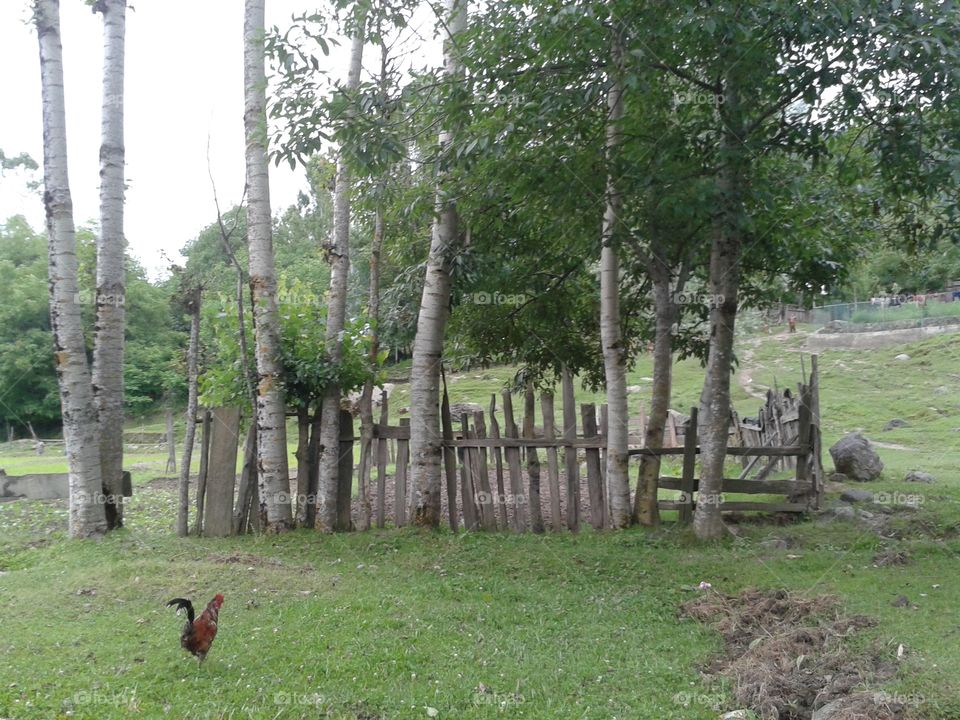 old way of fencing