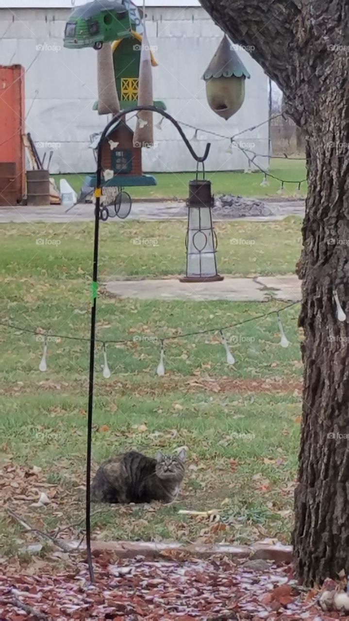 patience is a virtue