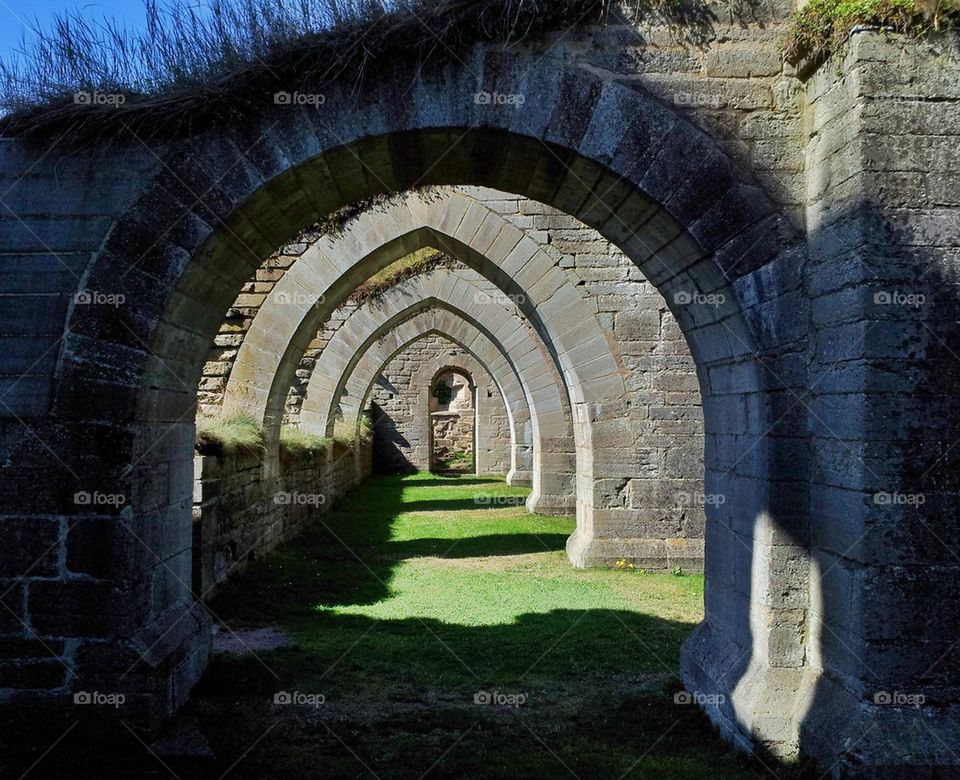 Alvastra monastery ruin