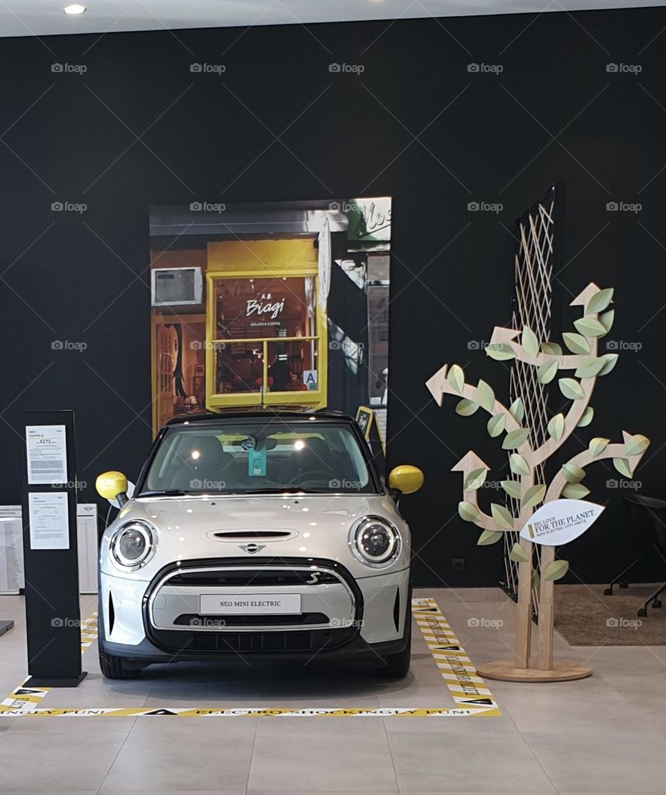 mini electric