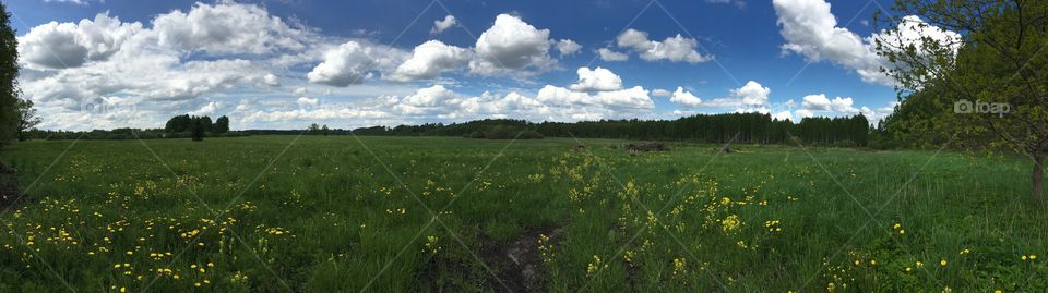 Landscape, Field, Nature, No Person, Grass