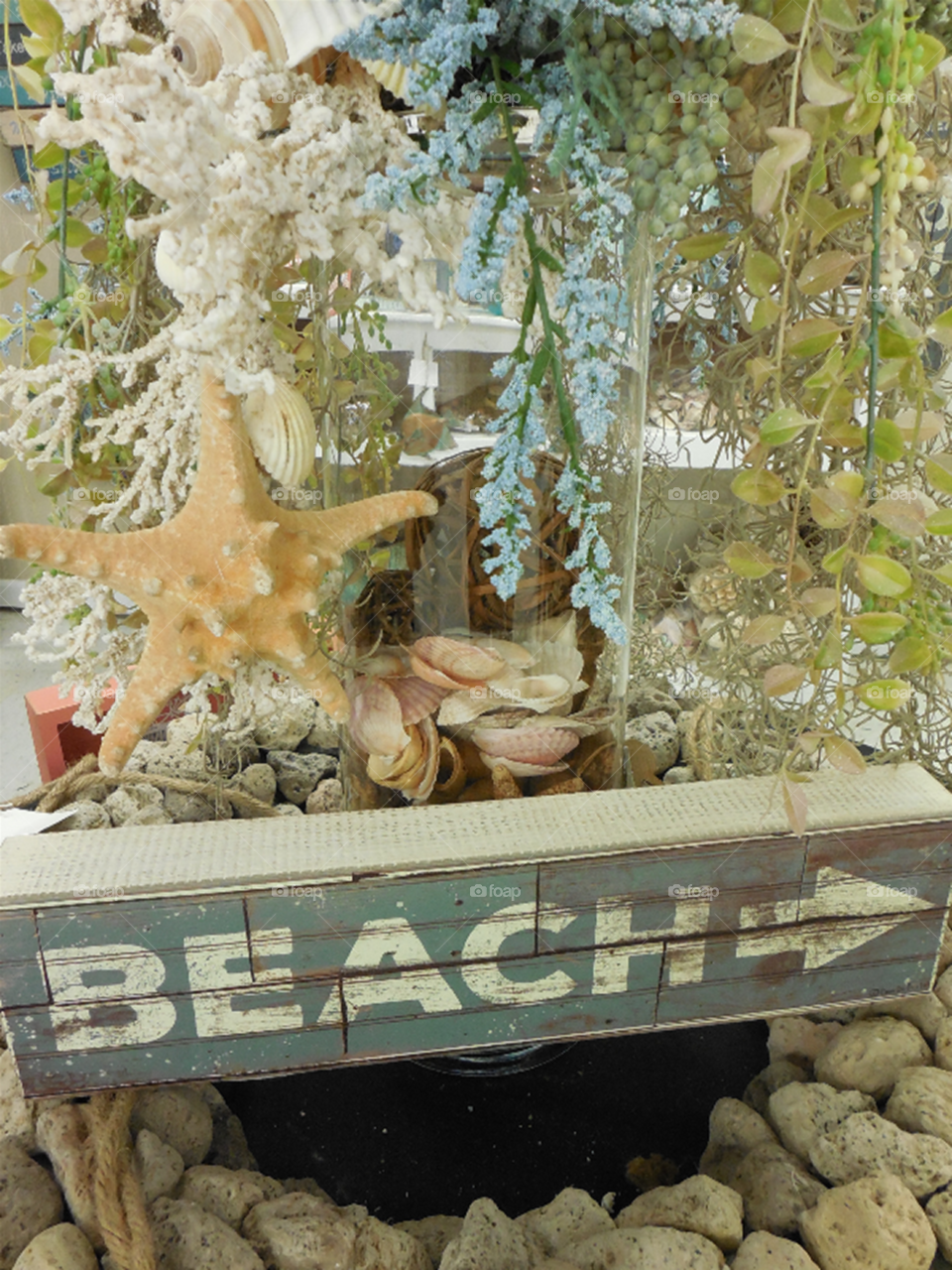 Beach decor sign seashells starfish home indoors