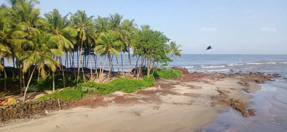 kerala river
