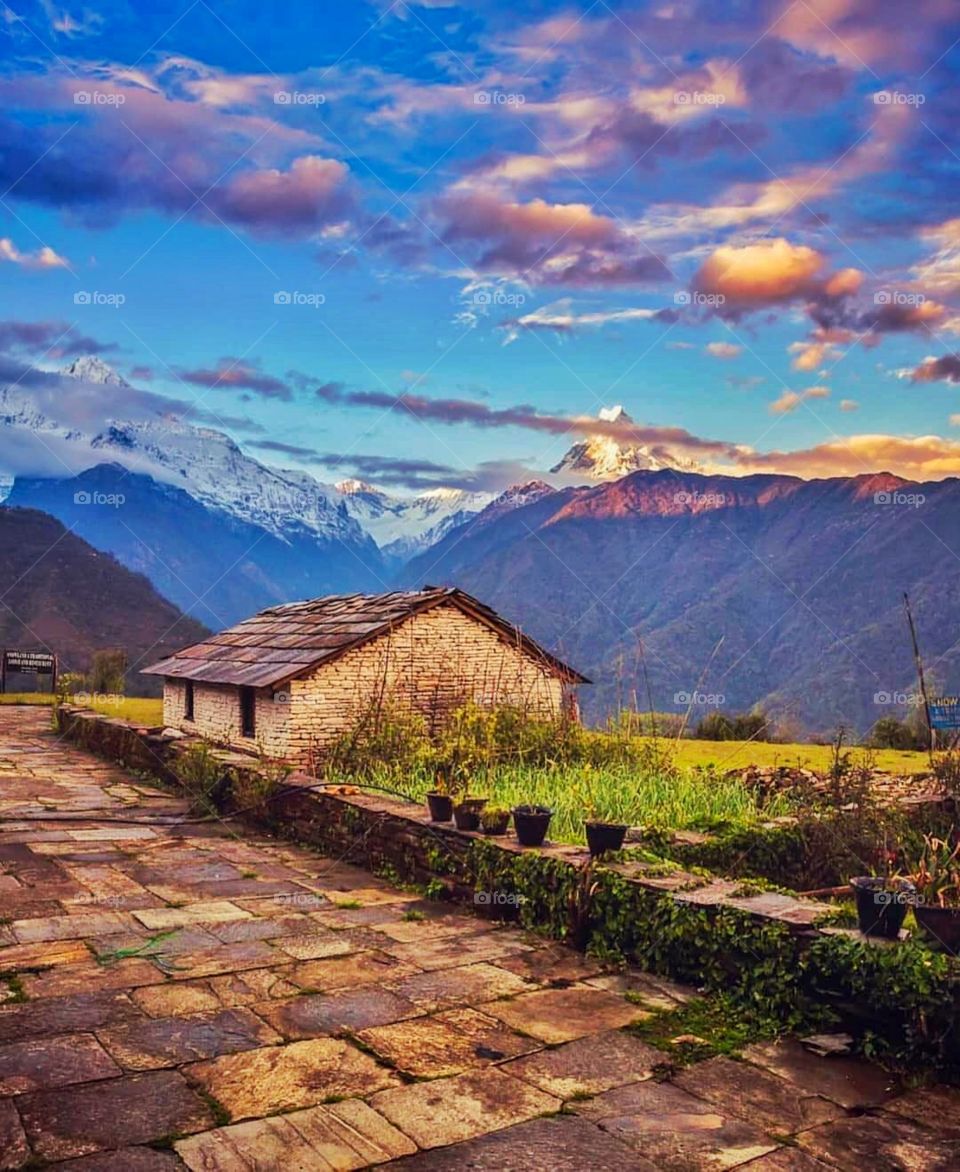 Nature always wears the colors of the spirit. Look deep into nature and you will understand everything better.