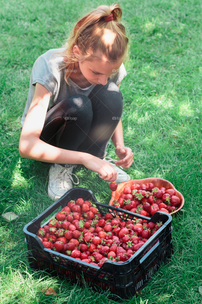 Young woman taking strawberries in bucket