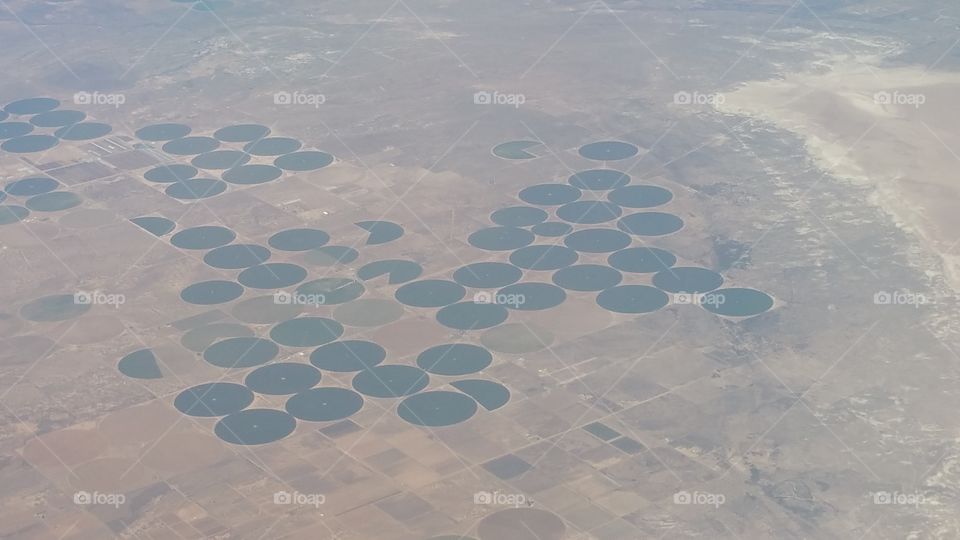 True Crop Circles