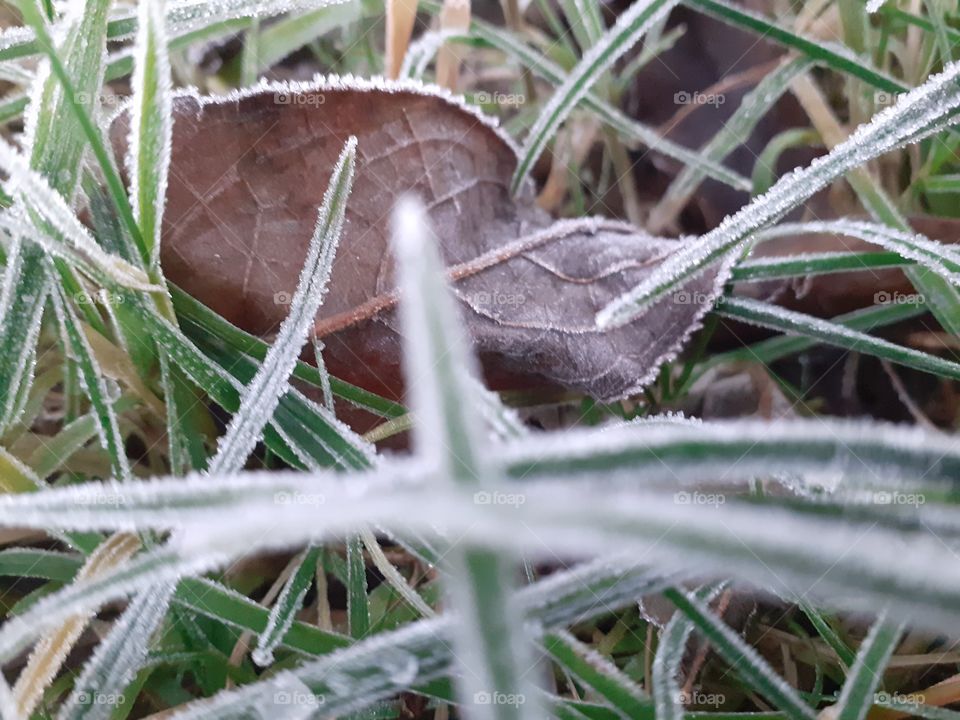 early in the morning