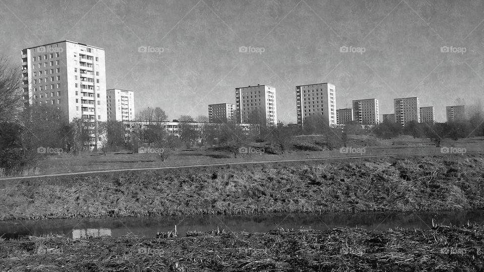 The concrete djungle