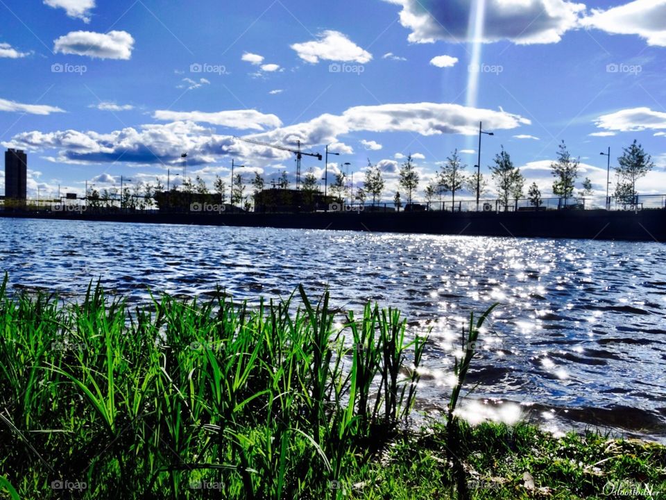 Oslo, Norway. In a park in Oslo, Norway on a nice day.