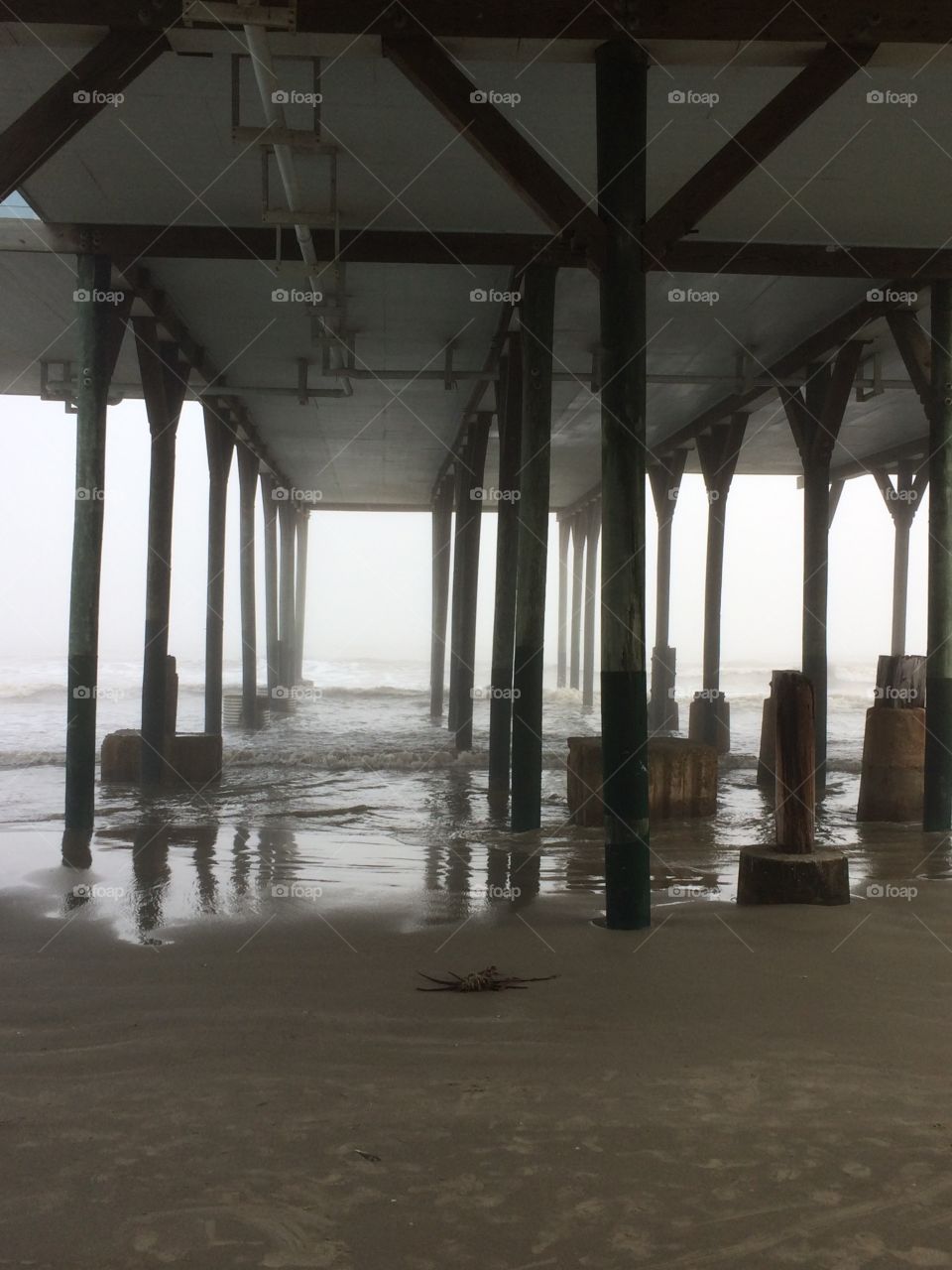 Under the boardwalk 