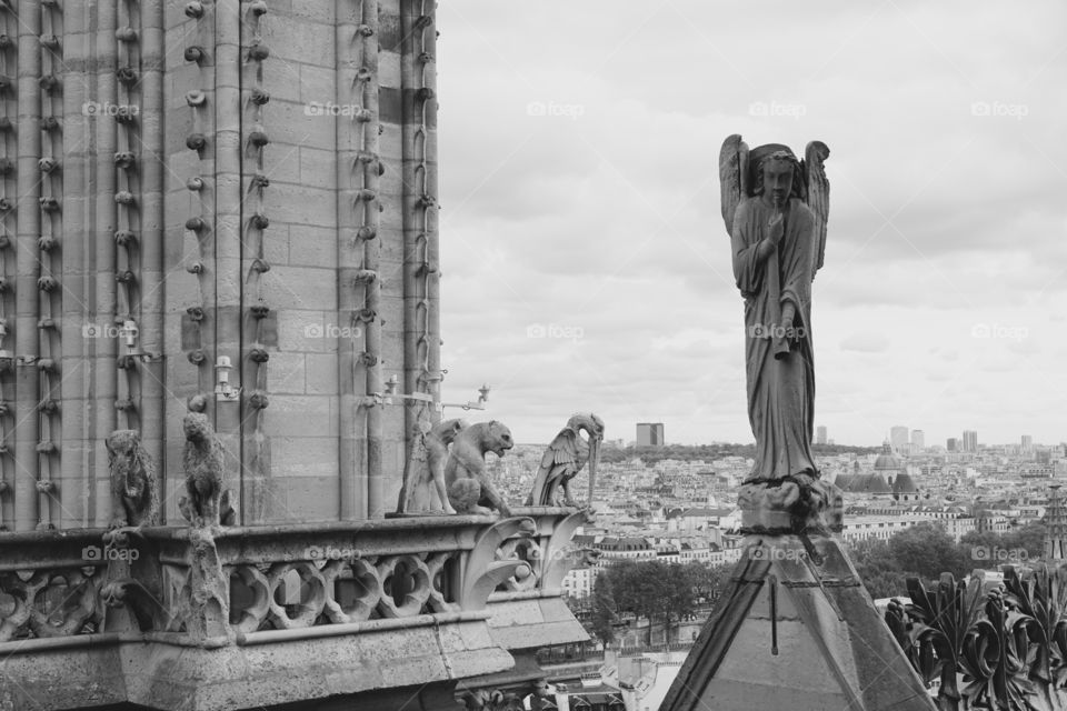 Angel at the top of Notre Dame 