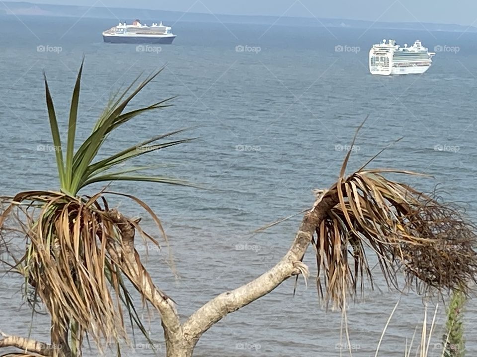 Cruise Ships Adopt Snails Pace