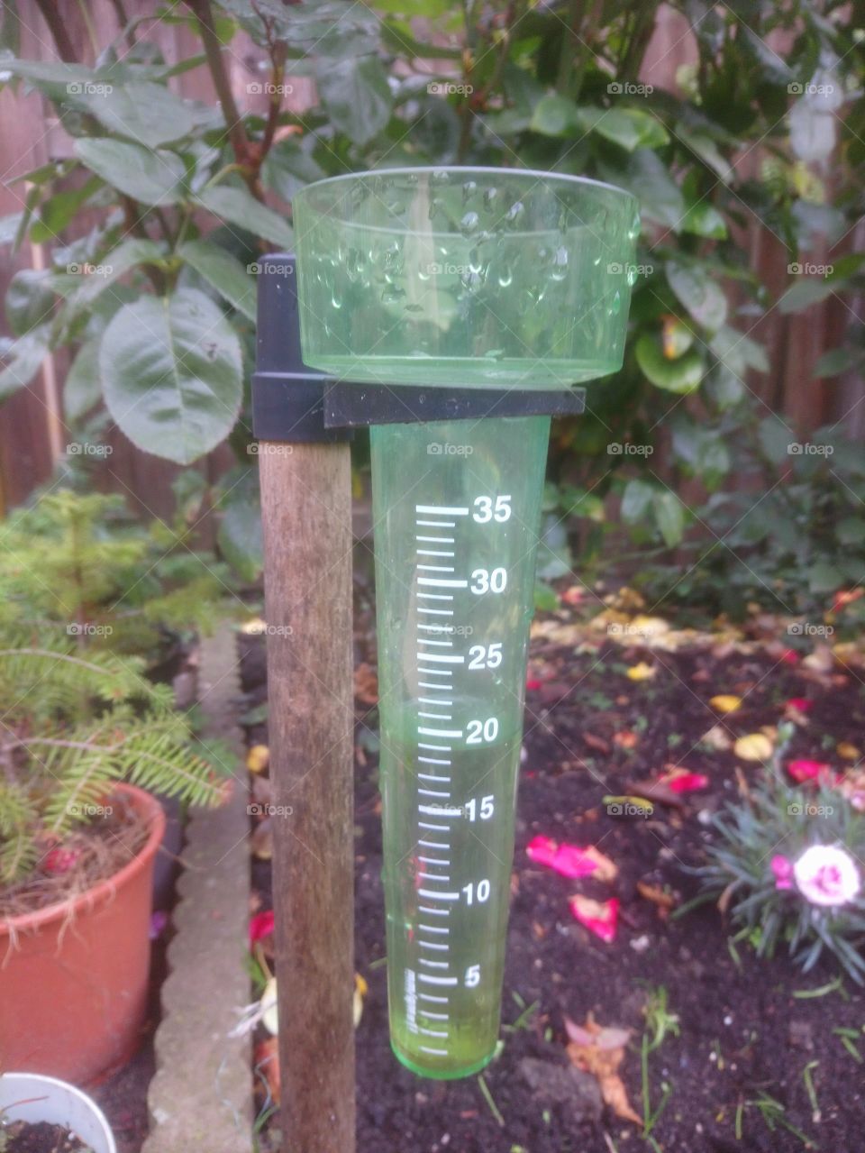 Rain gauge in the garden. Instrument for measurement of the rain.