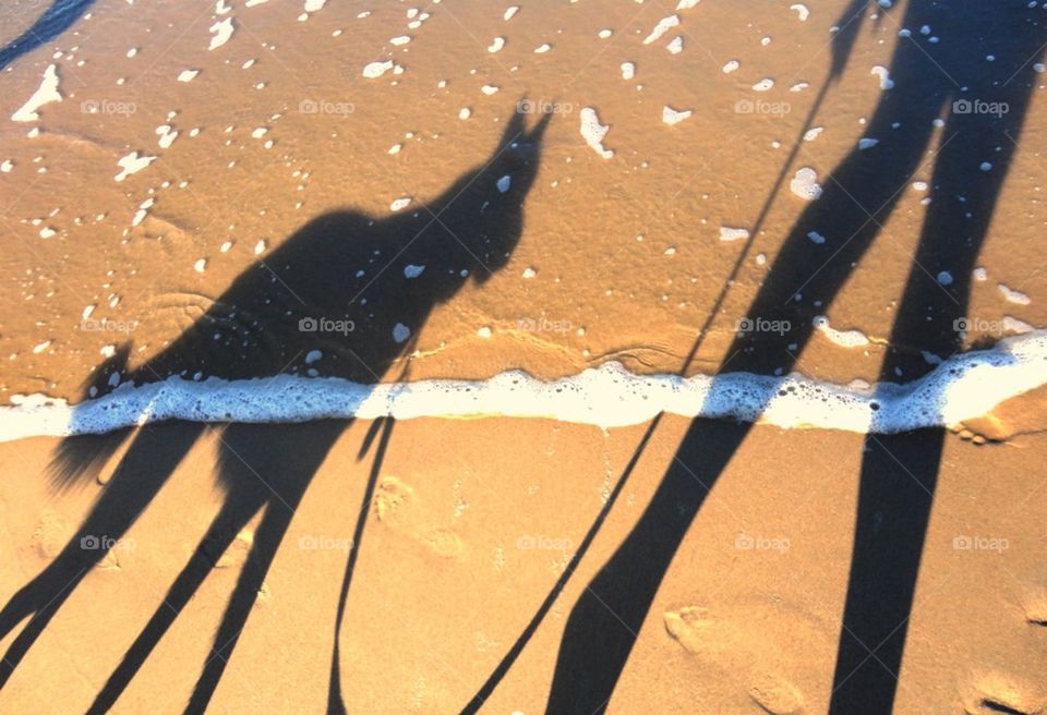 Surf Shadows