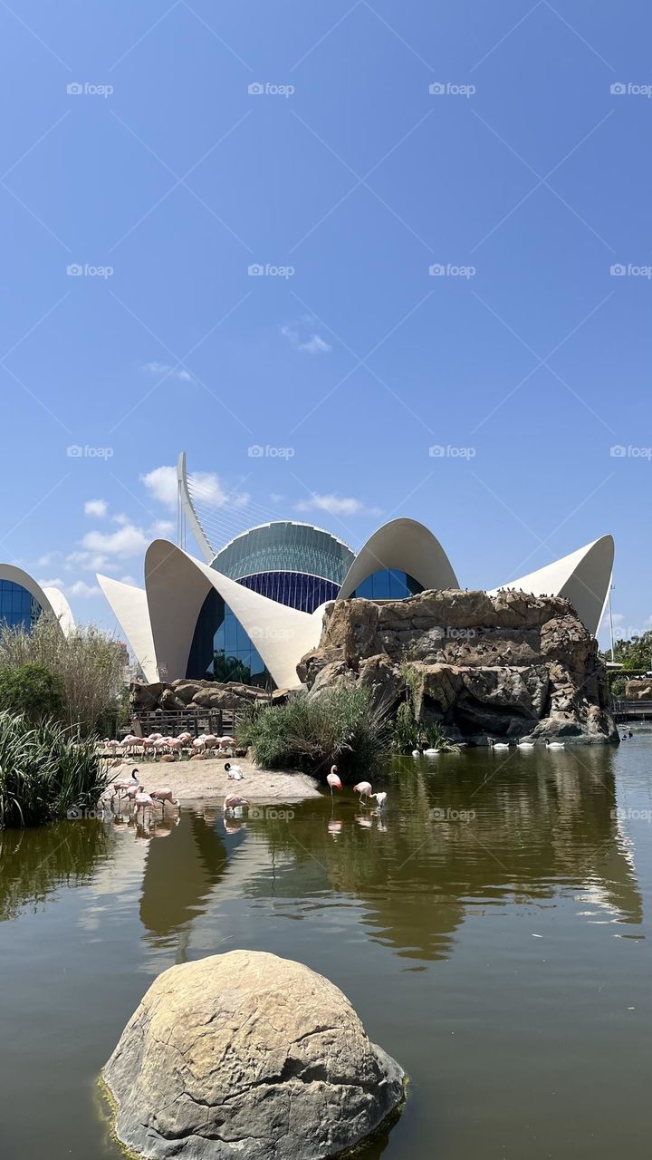 Architectural structure 