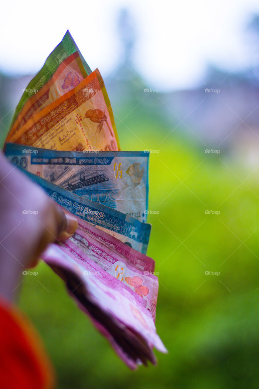 how much do you like this photo