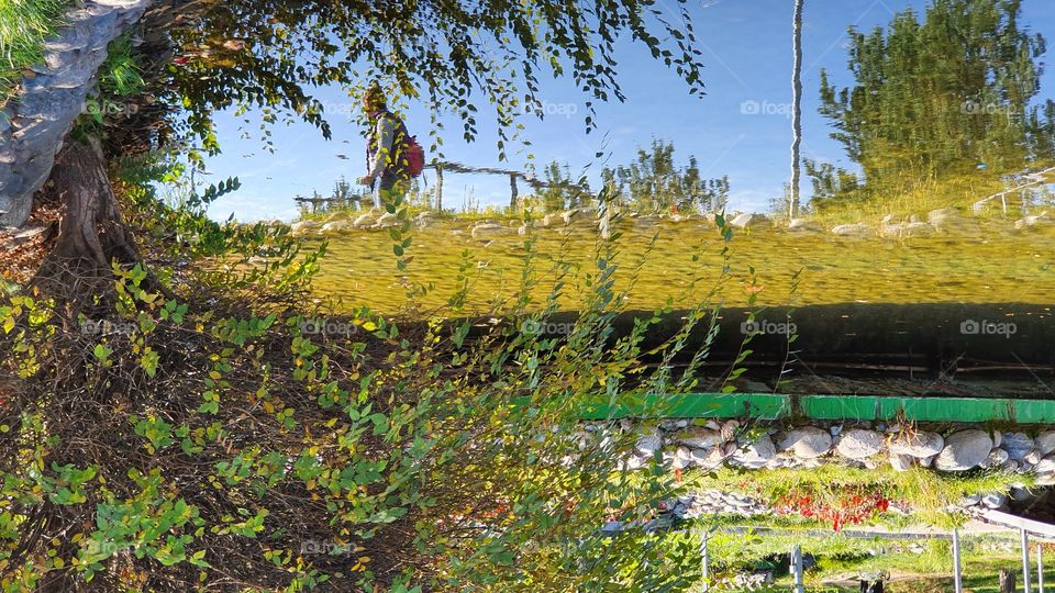 reflection of the person in water framed by trees
