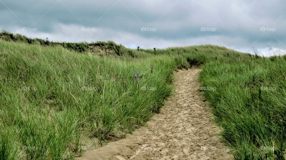 Which Path will you take