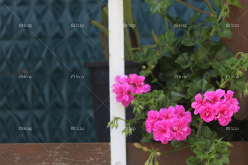 Sun working on his magic :)