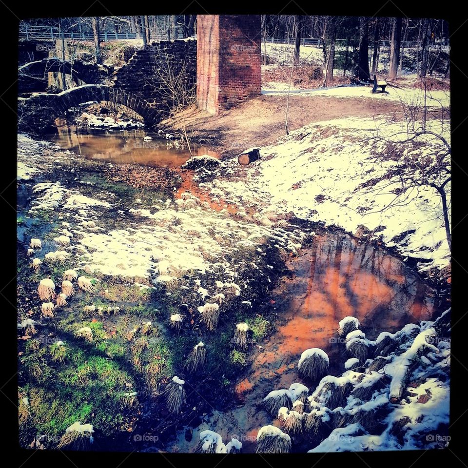 spring breaks through the last winter snow